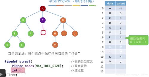 數(shù)據(jù)結(jié)構(gòu)之樹的存儲結(jié)構(gòu) 數(shù)據(jù)處理與存儲服務(wù)的基石