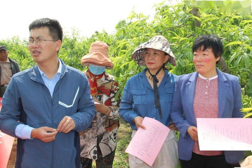 巾幗學黨史辦實事，志愿服務直通車助力鄉村振興齊魯行——聚焦開發區站的數據處理與存儲服務
