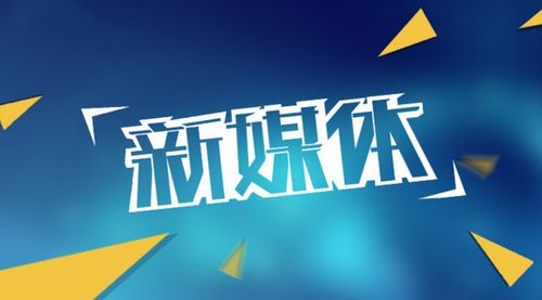 中享科技 軟件開發(fā)與網(wǎng)絡(luò)推廣運(yùn)營的雙輪驅(qū)動(dòng)